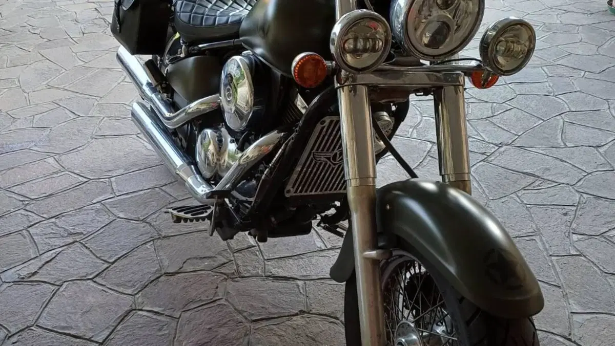 Kawasaki VN 800 Classic (2001 - 06)  (2)