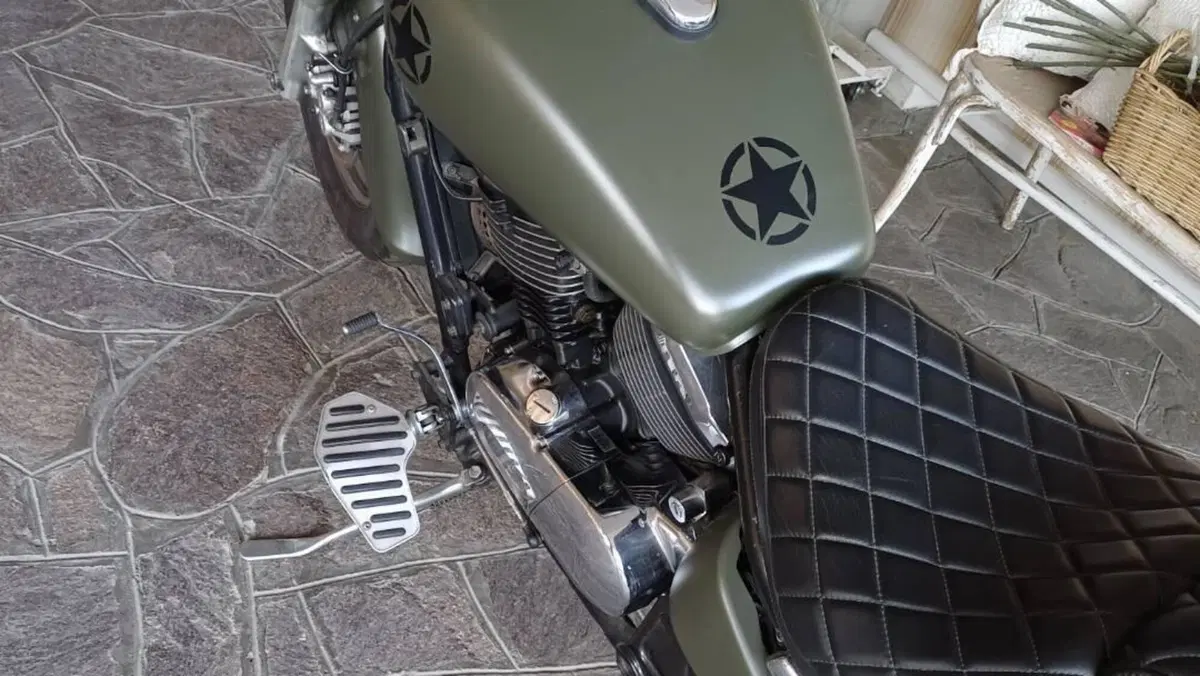 Kawasaki VN 800 Classic (2001 - 06)  (4)