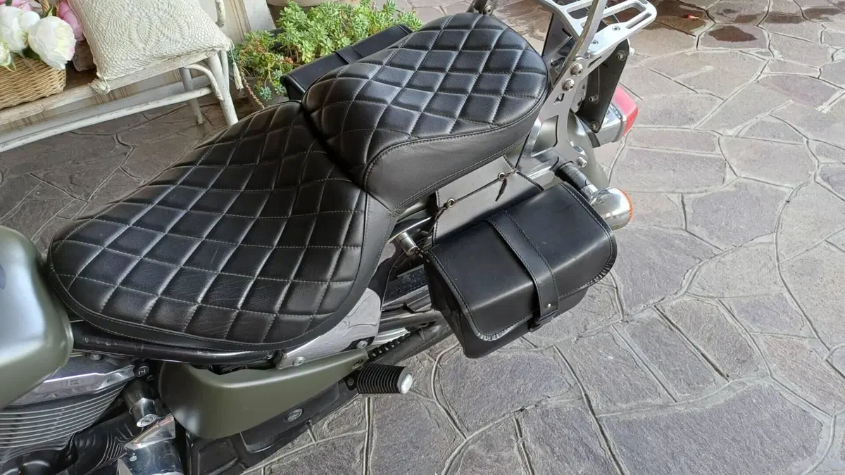 Kawasaki VN 800 Classic (2001 - 06)  (6)