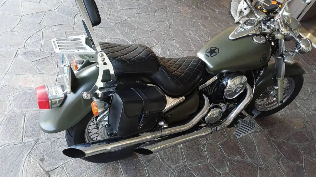 Kawasaki VN 800 Classic (2001 - 06)  (7)