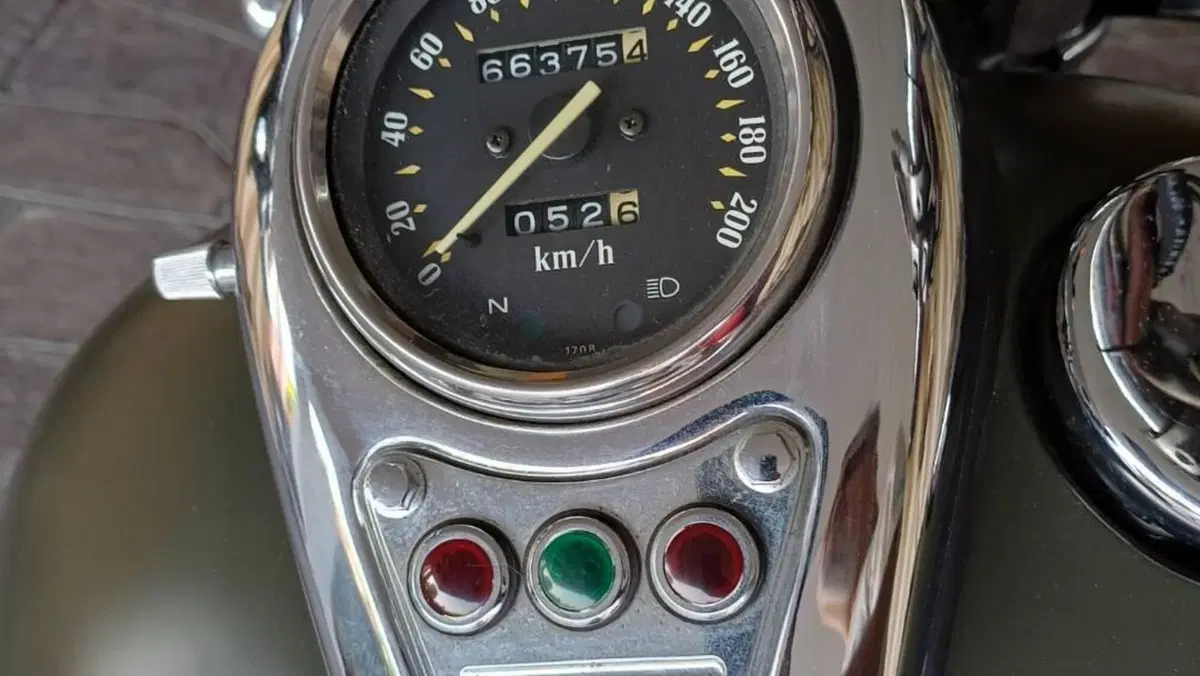 Kawasaki VN 800 Classic (2001 - 06)  (8)