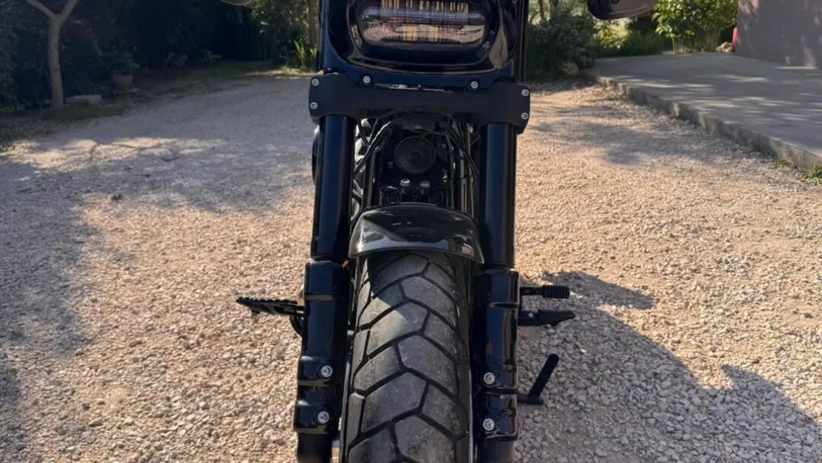 Harley-Davidson Fat Bob 114 (2021 - 25)  (5)
