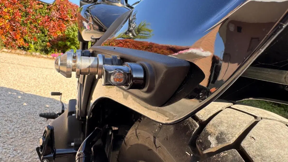 Harley-Davidson Fat Bob 114 (2021 - 25)  (7)
