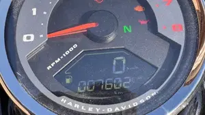 Harley-Davidson Fat Bob 114 (2021 - 25)  (9)