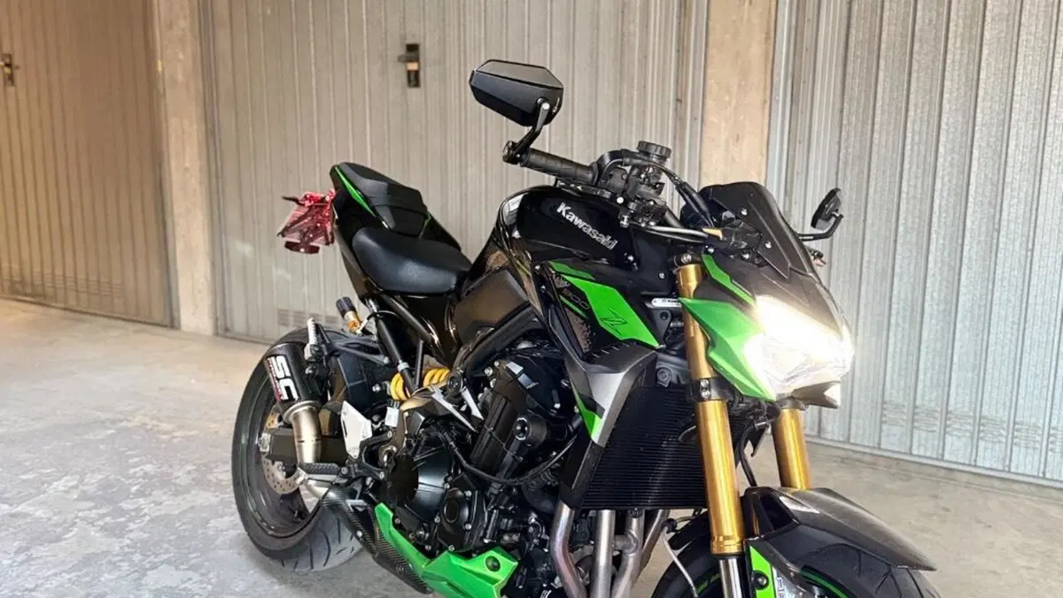 Kawasaki Z 900 SE (2022 - 24) 
