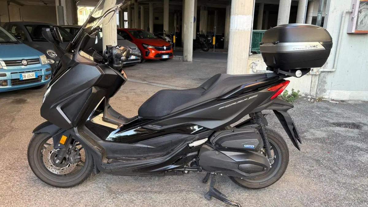 Honda Forza 350 (2022 - 24)  (3)