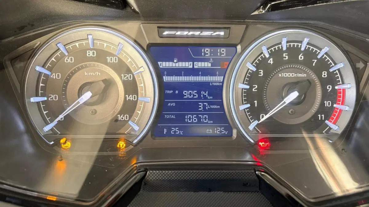 Honda Forza 350 (2022 - 24)  (14)