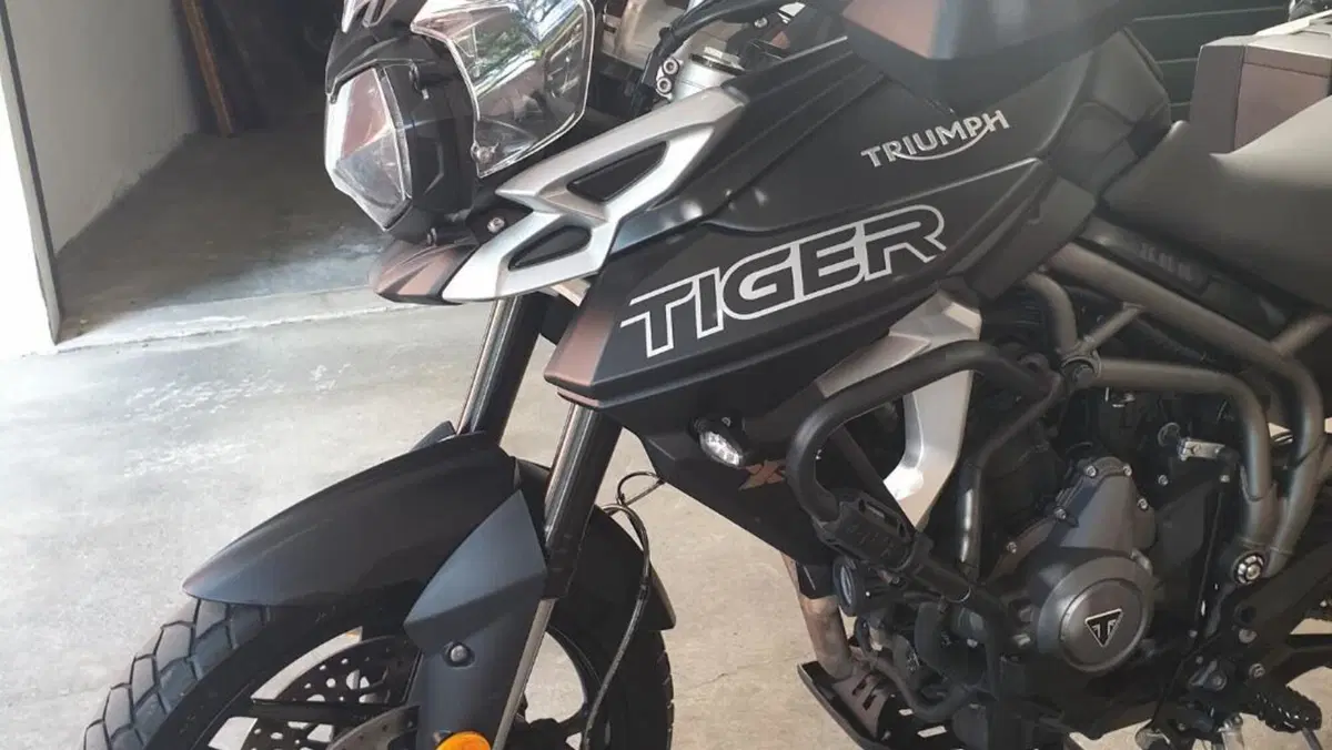 Triumph Tiger 800 XRx (2018 - 20)  (13)