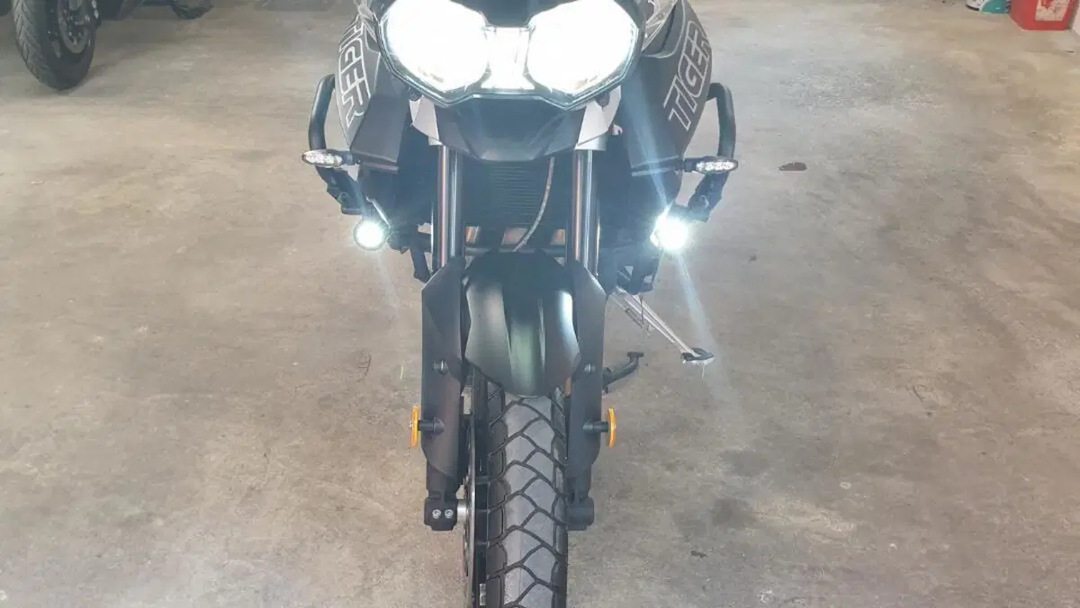 Triumph Tiger 800 XRx (2018 - 20)  (10)