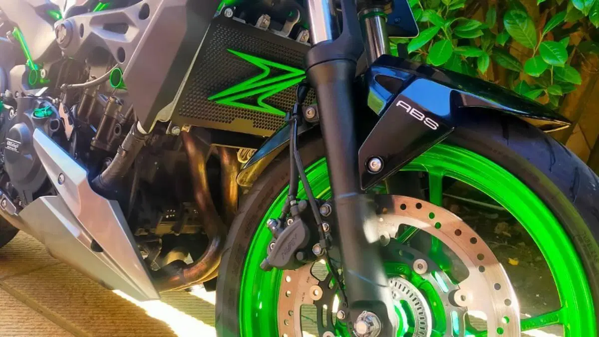 Kawasaki Z 500 SE (2024 - 26)  (12)