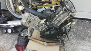 Suzuki SV 650 (1999 - 02)  (8)