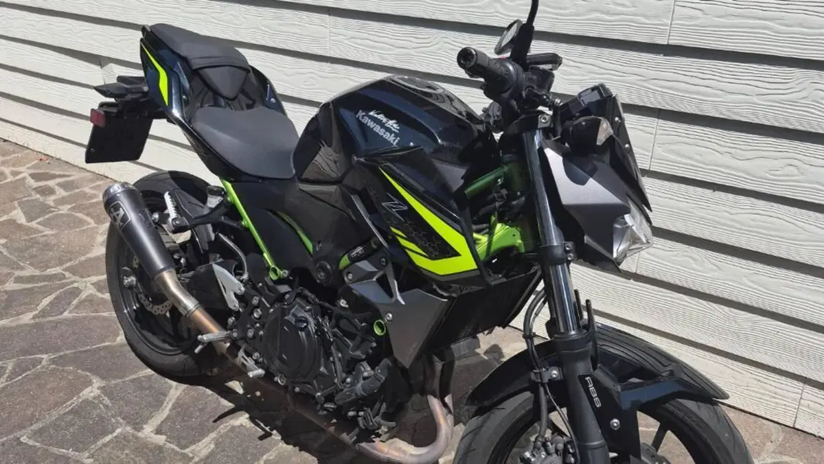 Kawasaki Z 400 (2019 - 20)  (3)