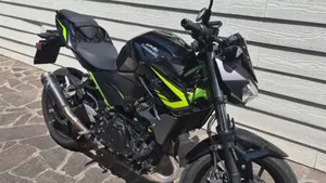 Kawasaki Z 400 (2019 - 20)  (3)