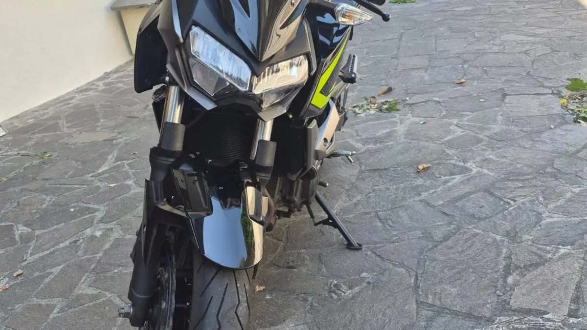 Kawasaki Z 400 (2019 - 20)  (4)