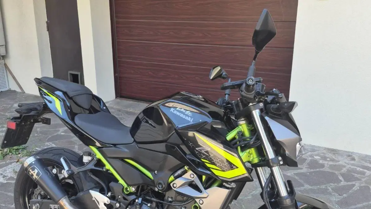 Kawasaki Z 400 (2019 - 20)  (5)