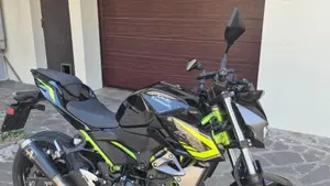 Kawasaki Z 400 (2019 - 20)  (5)