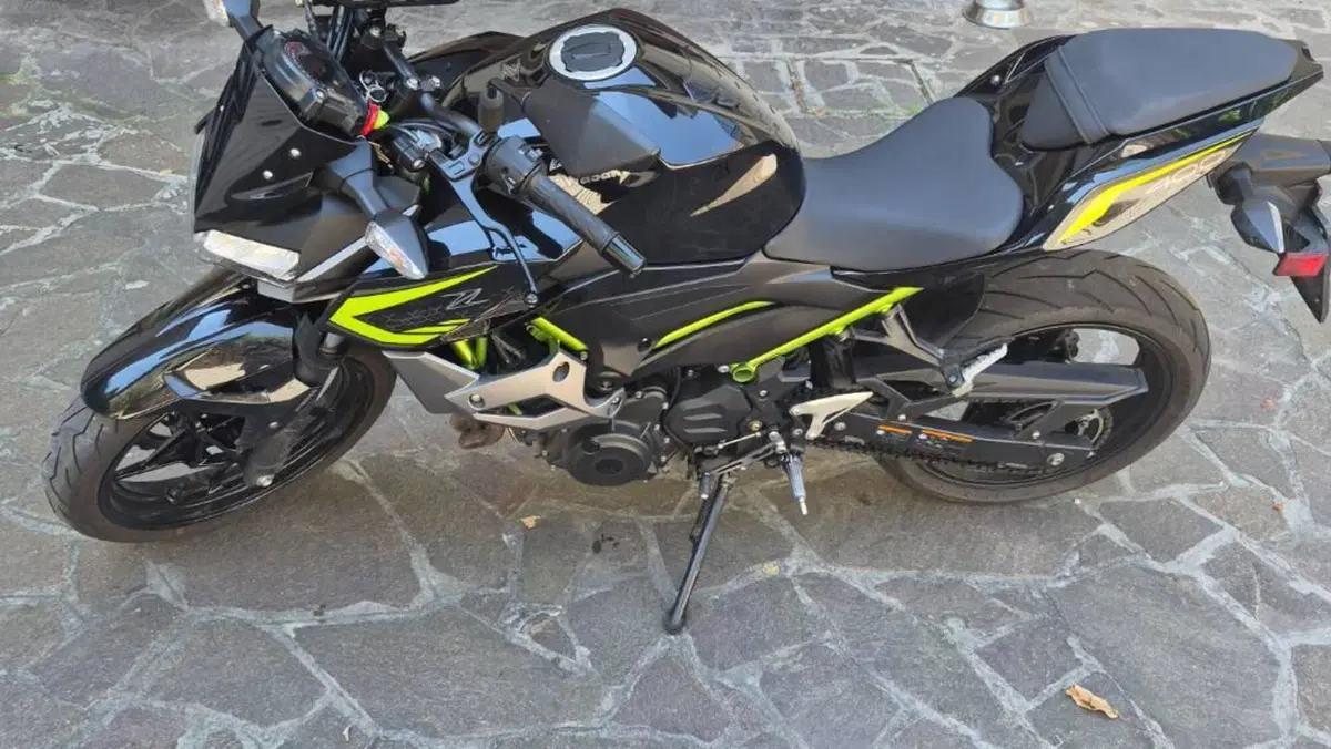 Kawasaki Z 400 (2019 - 20)  (6)