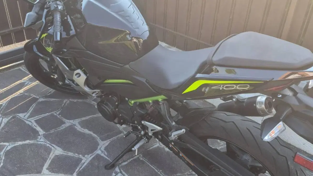Kawasaki Z 400 (2019 - 20)  (7)
