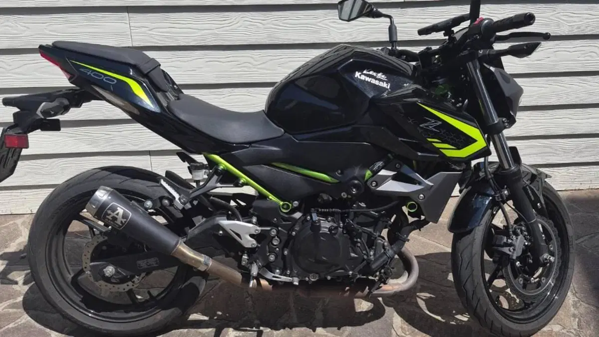 Kawasaki Z 400 (2019 - 20)  (8)