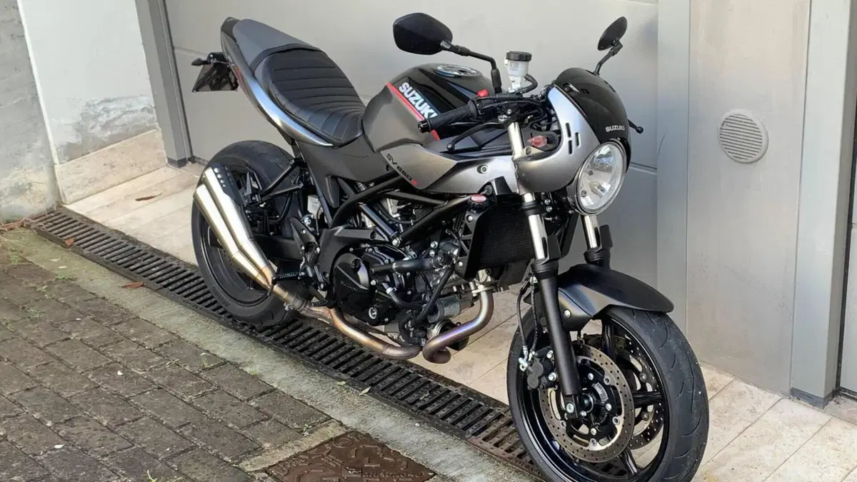 Suzuki SV 650 X - Ter (2018 - 20) 