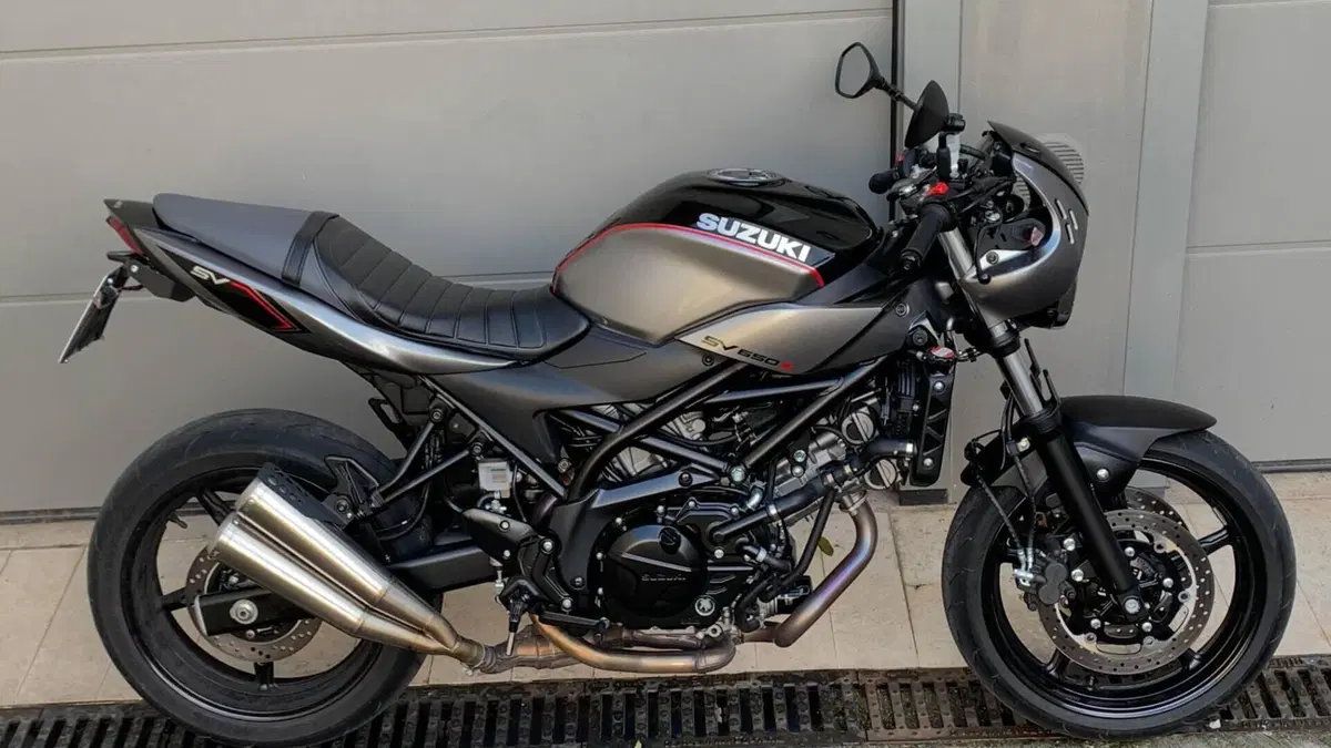 Suzuki SV 650 X - Ter (2018 - 20)  (2)