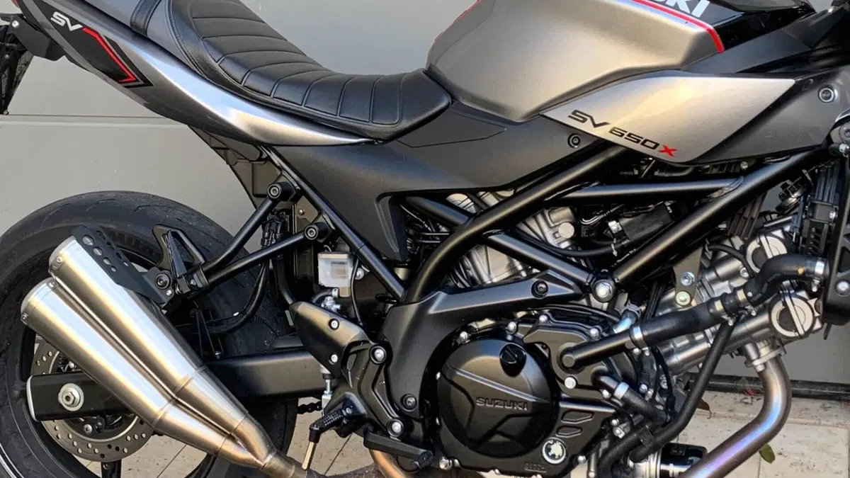 Suzuki SV 650 X - Ter (2018 - 20)  (3)