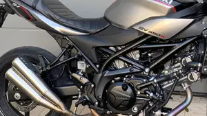 Suzuki SV 650 X - Ter (2018 - 20)  (3)