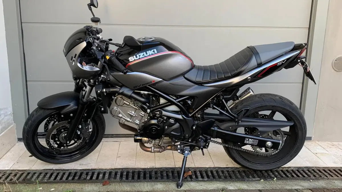 Suzuki SV 650 X - Ter (2018 - 20)  (4)