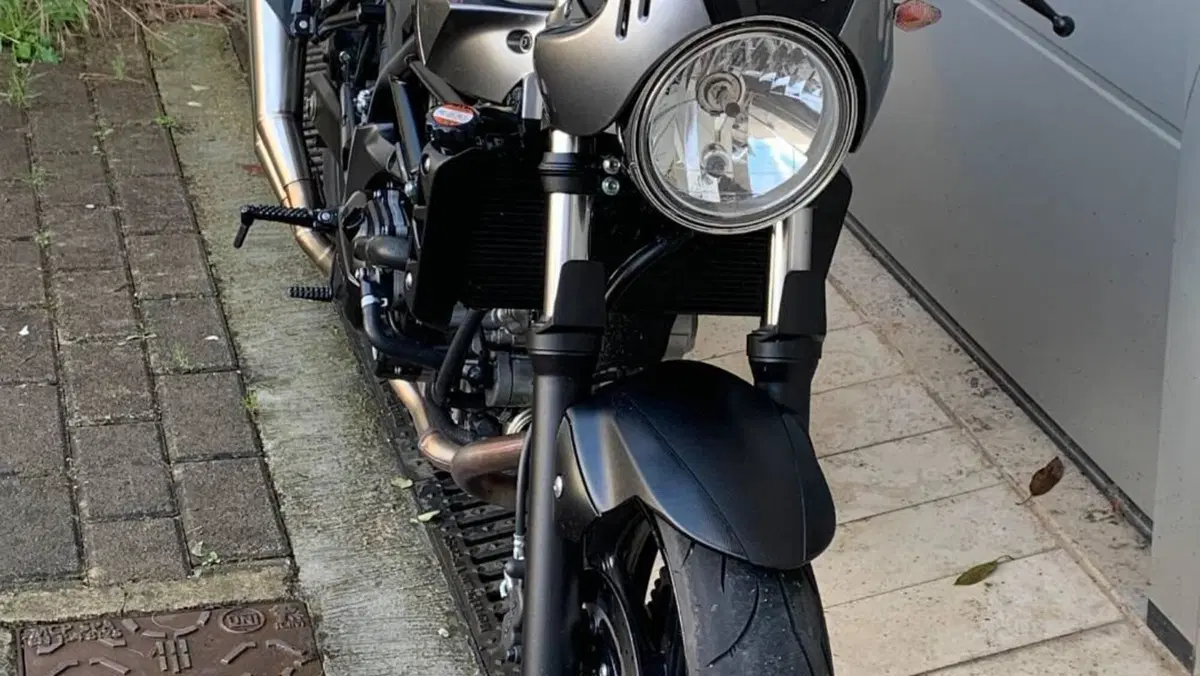 Suzuki SV 650 X - Ter (2018 - 20)  (6)
