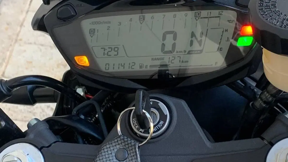 Suzuki SV 650 X - Ter (2018 - 20)  (7)