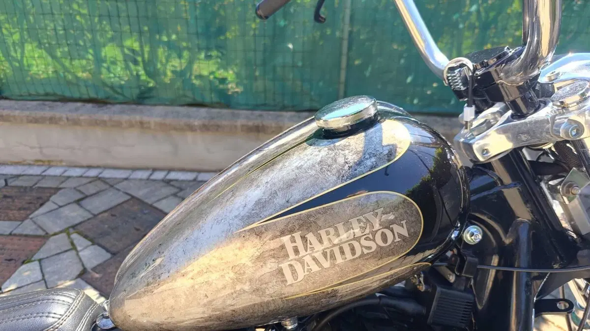 Harley-Davidson 883 Standard (1987 - 93) - XLH  (7)