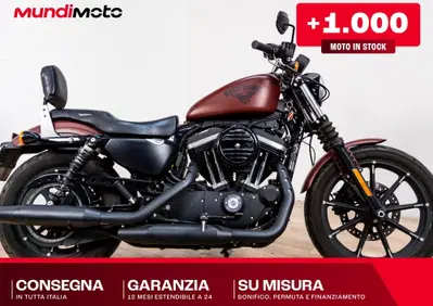 Harley-Davidson 883 Standard (2001 - 05) - XL 883 - Annuncio 10024394