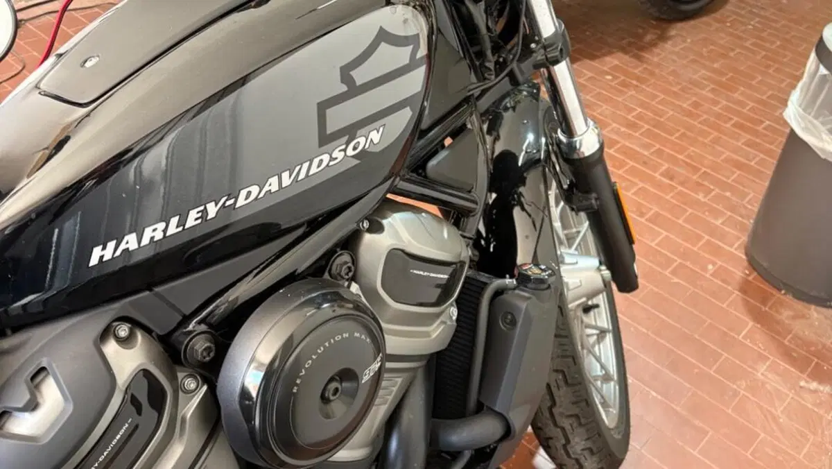 Harley-Davidson Nightster Special (2023 - 26)  (3)