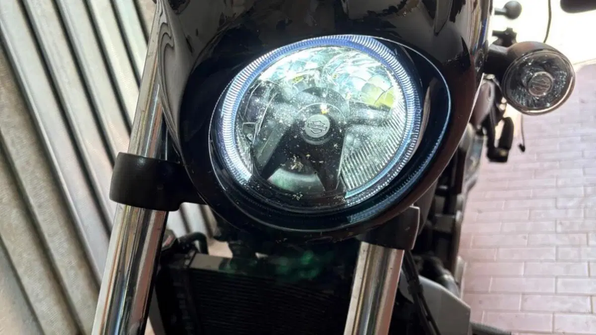 Harley-Davidson Nightster Special (2023 - 26)  (7)