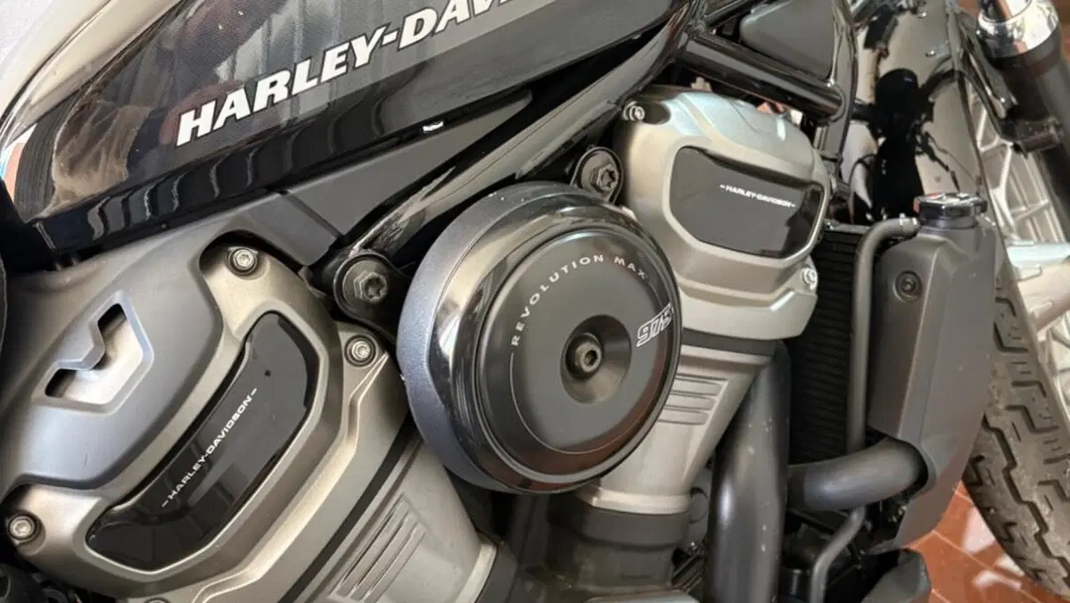 Harley-Davidson Nightster Special (2023 - 26)  (13)
