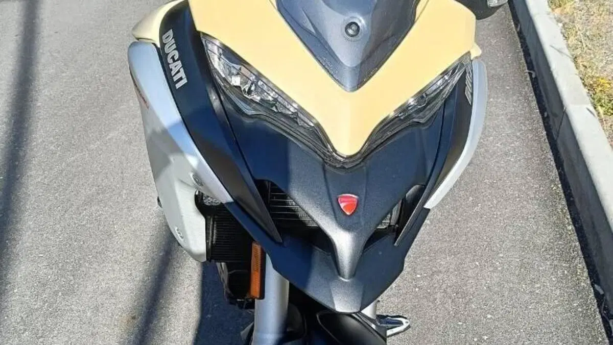 Ducati Multistrada 1260 Enduro (2019 - 21)  (4)