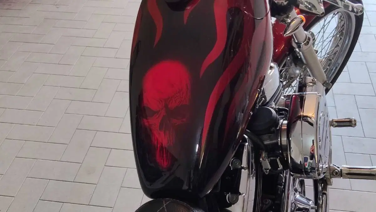 Harley-Davidson 1200 Custom (1995 - 00) - XL 1200C  (2)