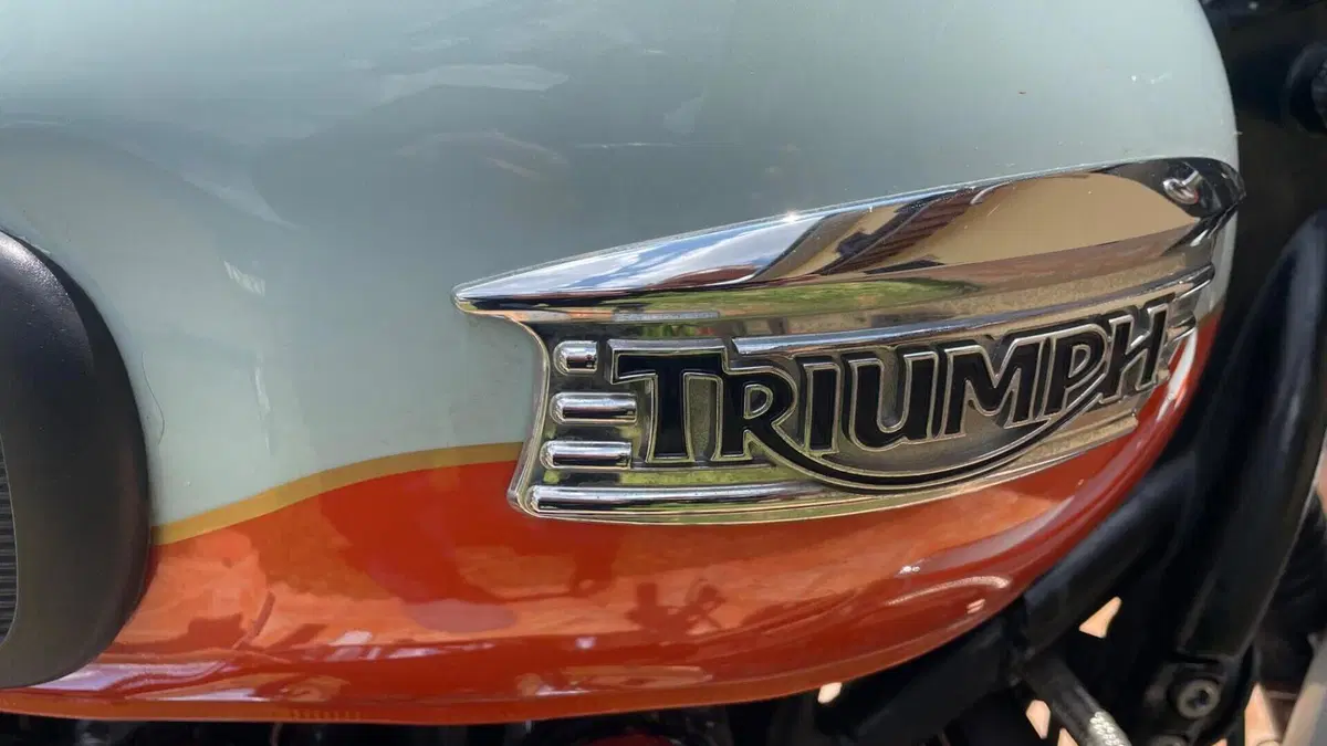Triumph Bonneville T100 (2008 - 16)  (6)