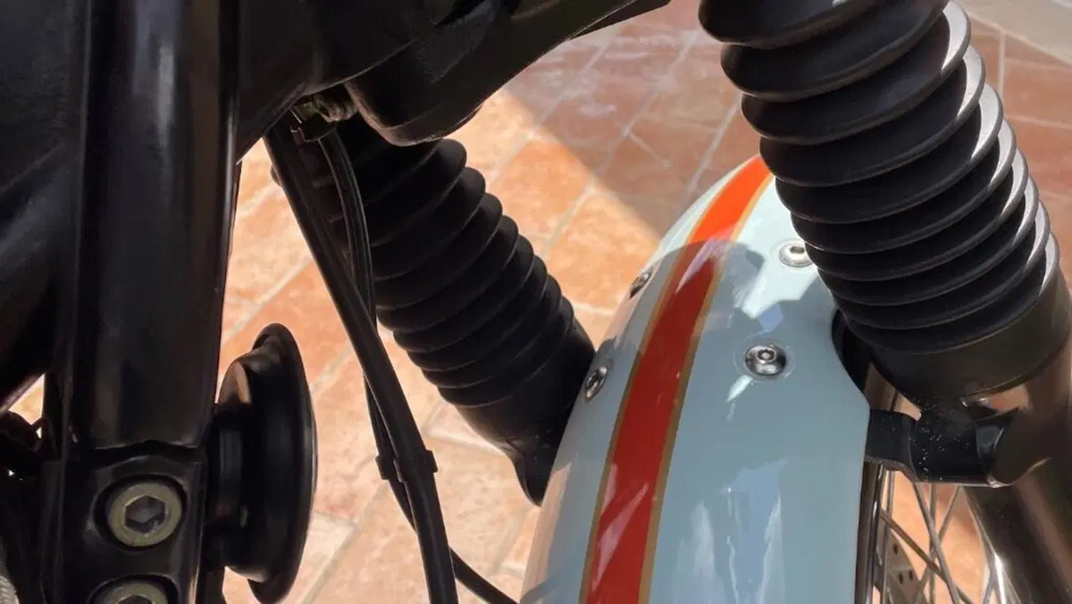 Triumph Bonneville T100 (2008 - 16)  (7)