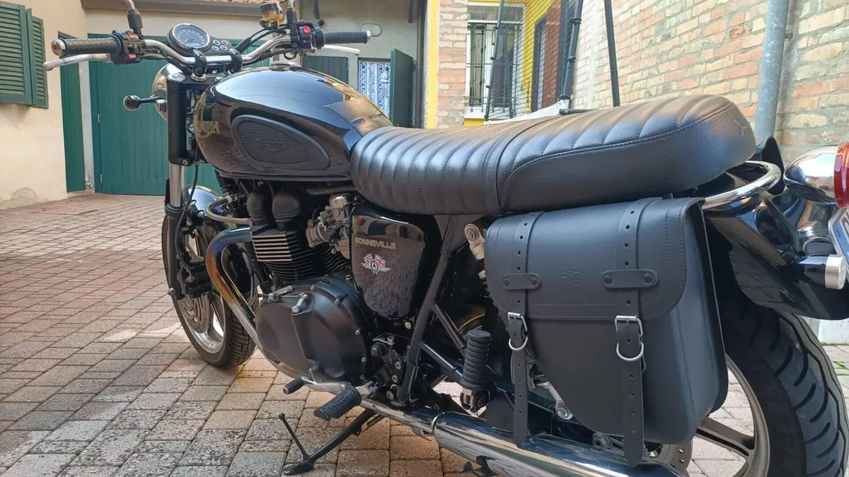 Triumph Bonneville T100 (2008 - 16)  (2)