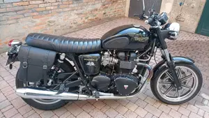 Triumph Bonneville T100 (2008 - 16)  (5)