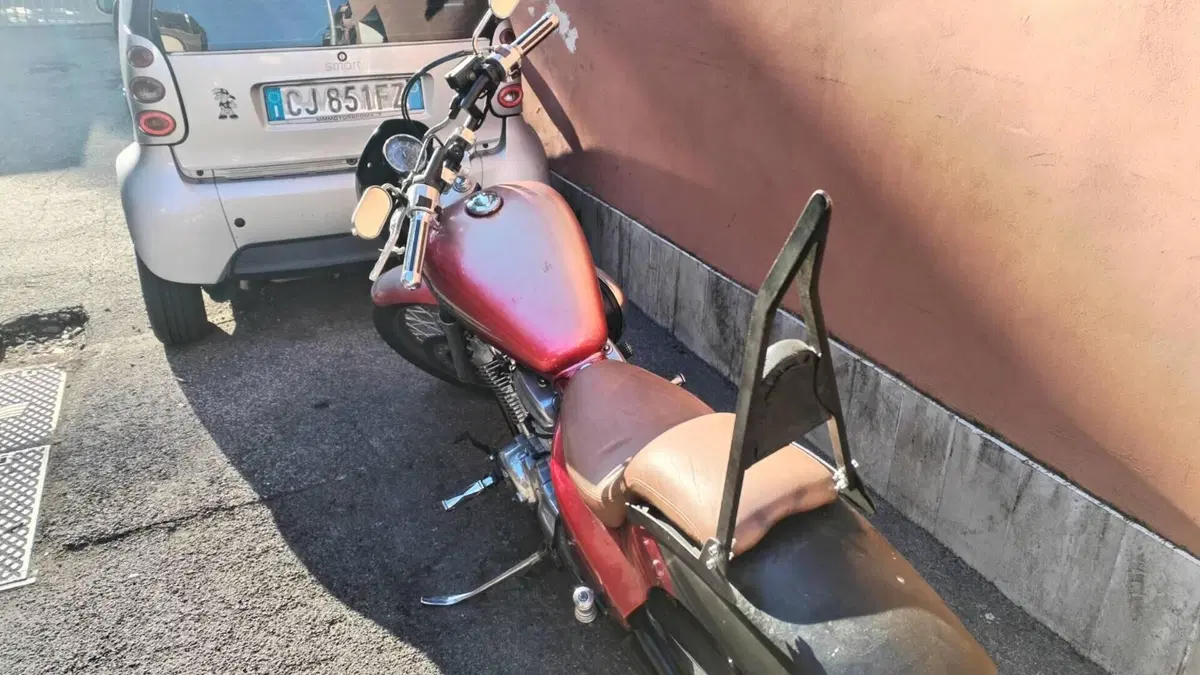 Honda VT 600 C Shadow (1989 - 02) 