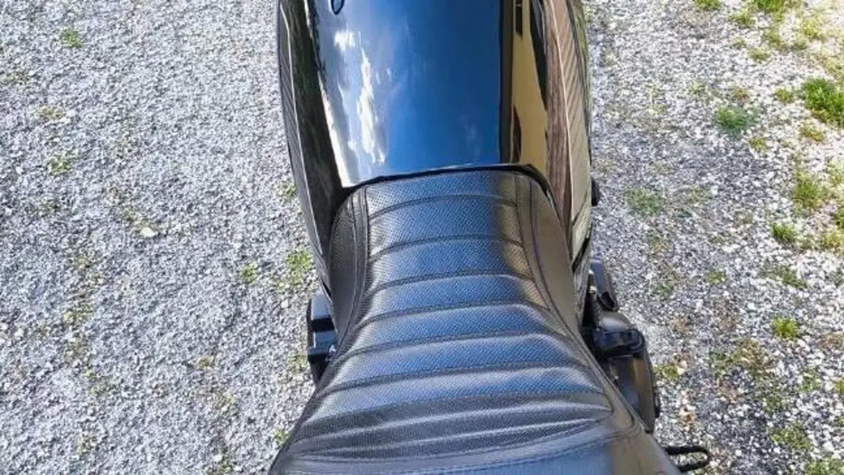 Benelli Leoncino 500 (2021 - 25)  (4)