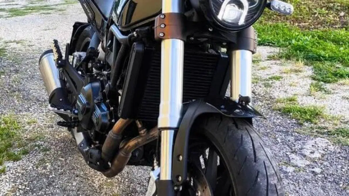 Benelli Leoncino 500 (2021 - 25)  (2)