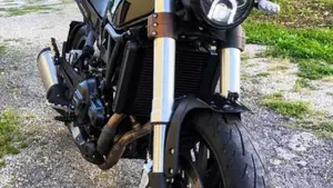 Benelli Leoncino 500 (2021 - 25)  (2)