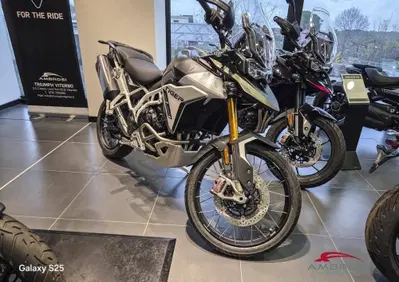 Triumph Tiger 900 Rally Pro (2024 - 26) - Annuncio 10024780