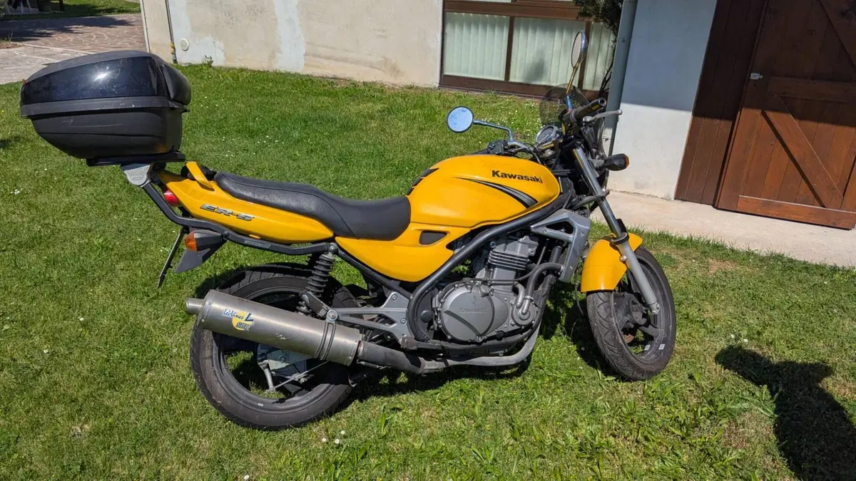 Kawasaki ER-5 500 (2001 - 06) 