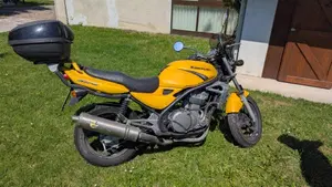 Kawasaki ER-5 500 (2001 - 06) 