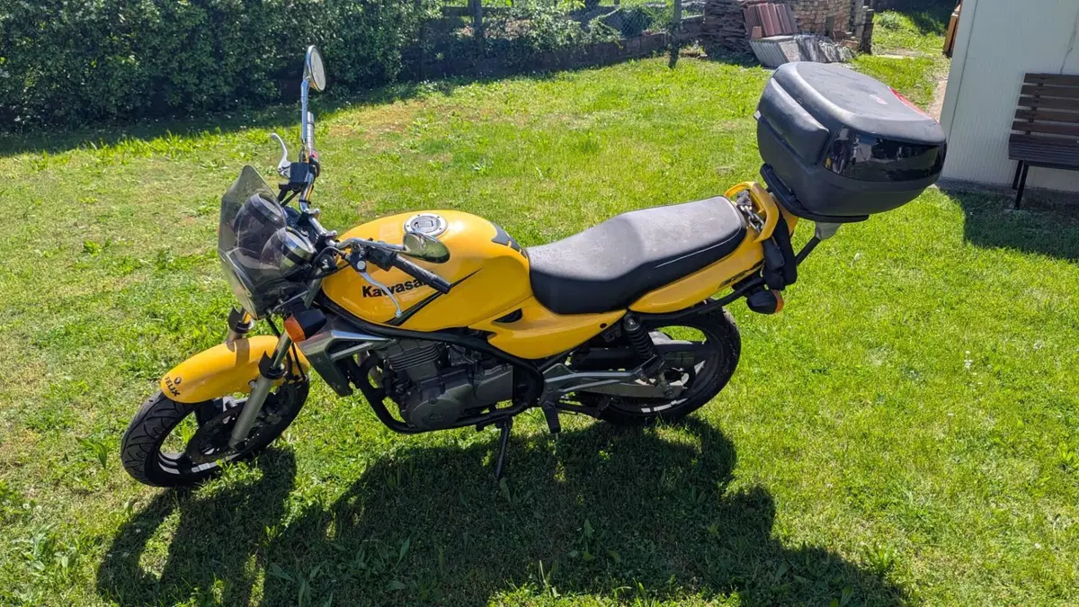 Kawasaki ER-5 500 (2001 - 06)  (2)