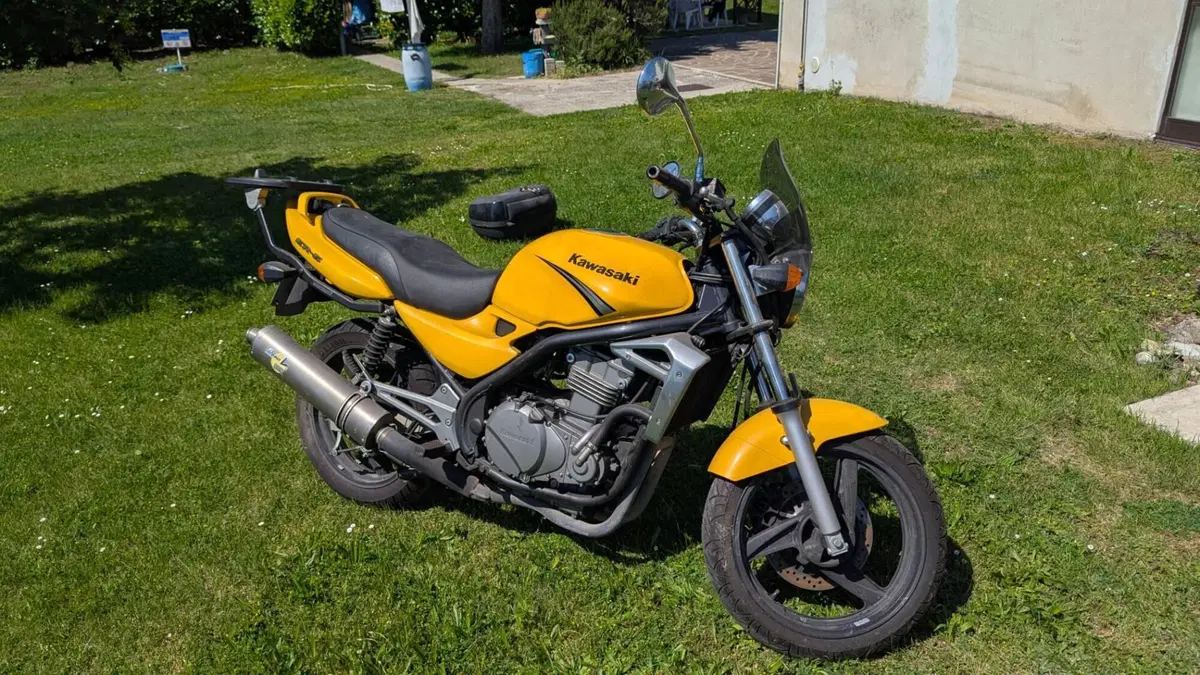 Kawasaki ER-5 500 (2001 - 06)  (4)